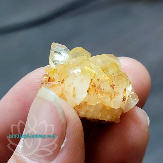 Untreated Citrine Quartz Point Crystal Cluster