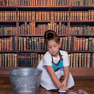 Cinderella girls dress Cinderella baby Dress Cinderella costume image 3