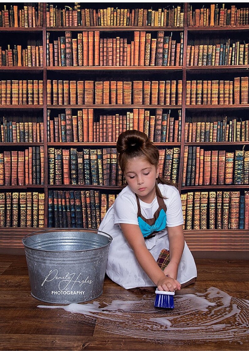 Cinderella girls dress Cinderella baby Dress Cinderella costume image 3