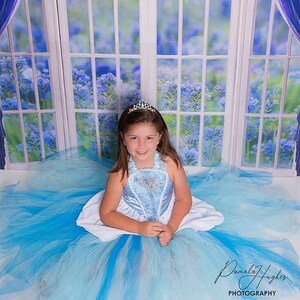 Cinderella girls dress Cinderella baby Dress Cinderella costume image 2