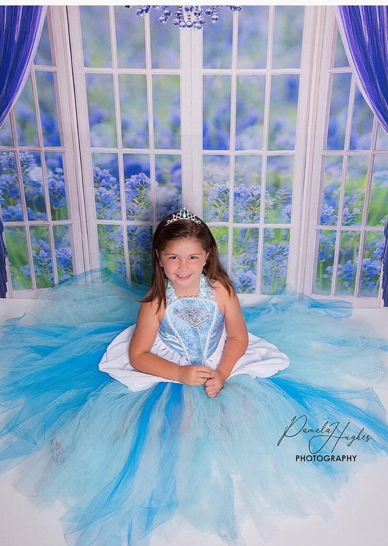 Cinderella girls dress Cinderella baby Dress Cinderella costume image 2