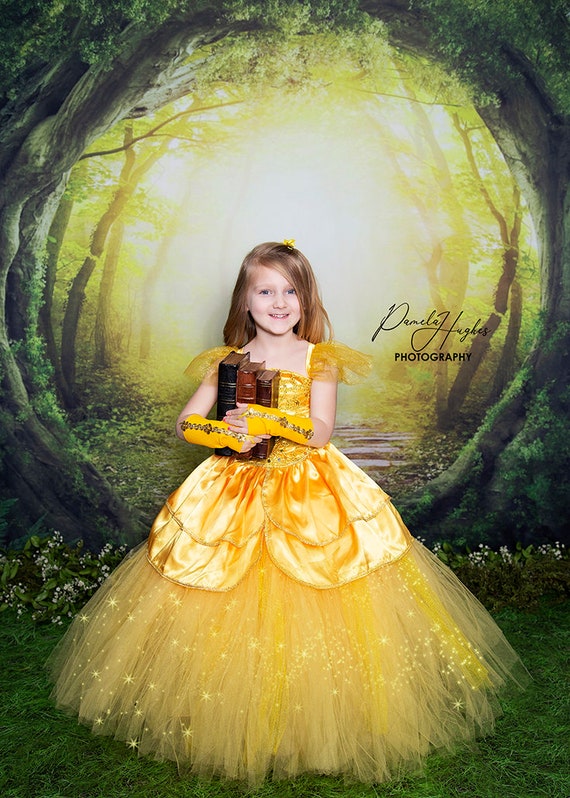 Belle Dress Princess Belle Costume Belle Halloween Disney Beauty and Beast  Halloween Costume 2019birthday Party Belle Outfit Belle 