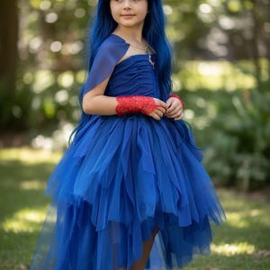 evie's blue dress from descendants Evie Inspired Blue Tutu Dress, Party Costume
