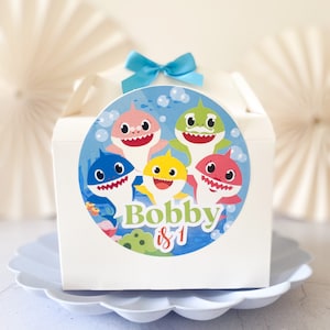 Children’s Party Box | BABY SHARK | Personalised kids luxe picnic meal boxes