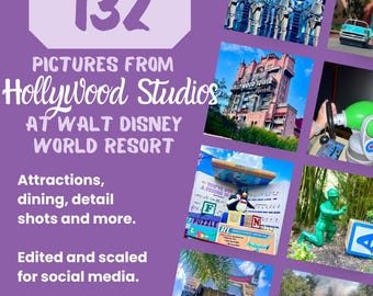 May include: A collage of images from Hollywood Studios at Walt Disney World Resort, featuring attractions, dining, and detail shots. The text includes "132 Pictures From Hollywood Studios" and "Complete Collection."