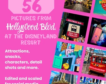 May include: A collage of 56 photos from Hollywood Blvd. at the Disneyland Resort. The photos feature attractions, snacks, characters, and details. The text "56 Pictures from Hollywood Blvd. at the Disneyland Resort" is at the top of the collage. The text "Attractions, snacks, characters, detail shots and more." is below the title. The text "Edited and scaled for social media. Complete Collection" is at the bottom of the collage.
