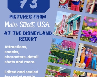 May include: A collage of 73 pictures from Main Street, USA at the Disneyland Resort. The pictures show attractions, snacks, characters, and details. The text "Album 1" is at the bottom of the collage.