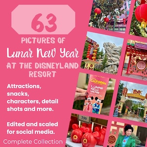 63 Disney Photos for Social Media | Travel Agent Resources | Lunar New Year | Advertising | Disney Parks | Digital Download | Marketing