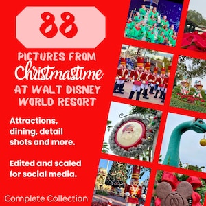 88 Disney Photos for Social Media | Travel Agents | Magic Kingdom | Disney World | Christmas | Disney Parks | Digital Download | Marketing