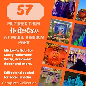 57 Disney Photos for Social Media | Travel Agents | Magic Kingdom | Disney World | Halloween | Disney Parks | Digital Download | Marketing