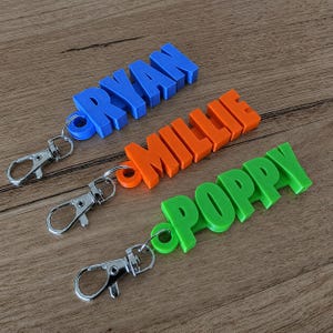 Op de afbeelding: Drie 3D-geprinte plastic sleutelhangers met zilverkleurige metalen karabijnsluitingen. De blauwe sleutelhanger toont de naam RYAN, de oranje sleutelhanger de naam MILLIE en de groene sleutelhanger de naam POPPY in grote blokletters.