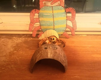 Hermit Crab Natural Coconut Hut