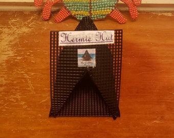 Hermit Crab Custom Hermie Hut