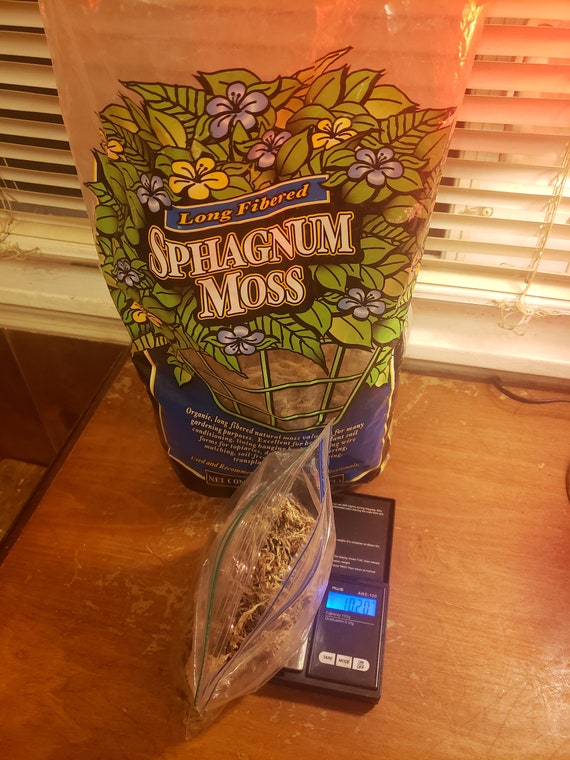 Hermit Crab Sphagnum Moss