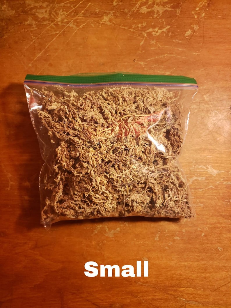 May include: A clear plastic bag filled with dried, light brown moss. The bag is sealed with a green zipper closure. The word "Small" is printed in white at the bottom of the image. The moss appears to be a natural product.