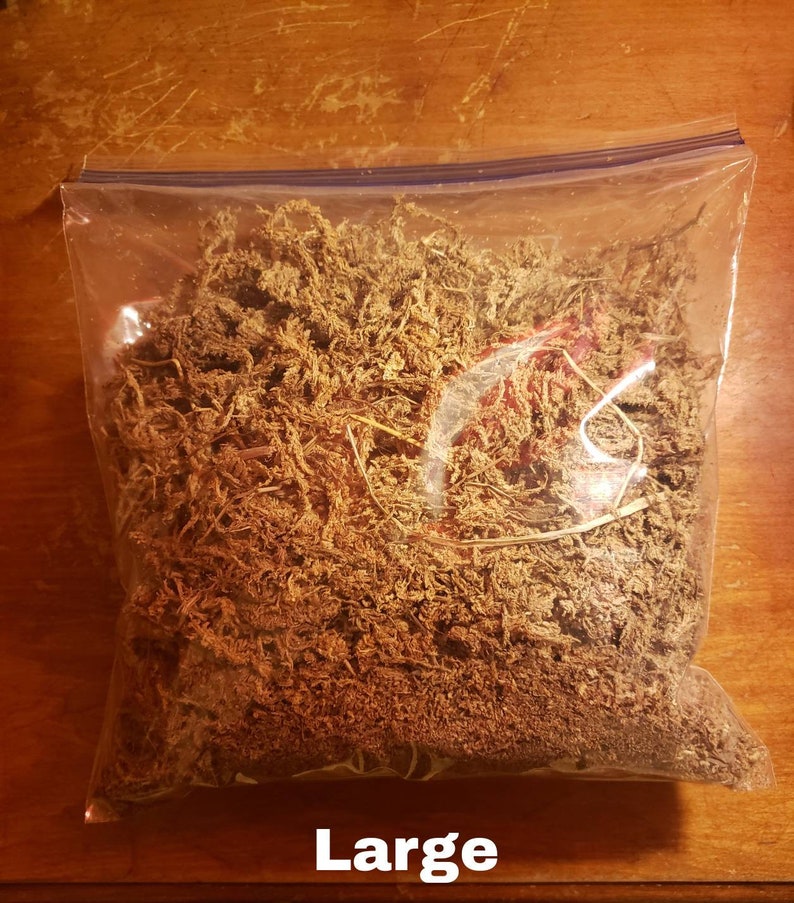 May include: A clear plastic bag filled with dried, brown moss. The bag is sealed with a blue zipper closure. The word "Large" is printed in white at the bottom of the bag. The moss appears to be a natural material.