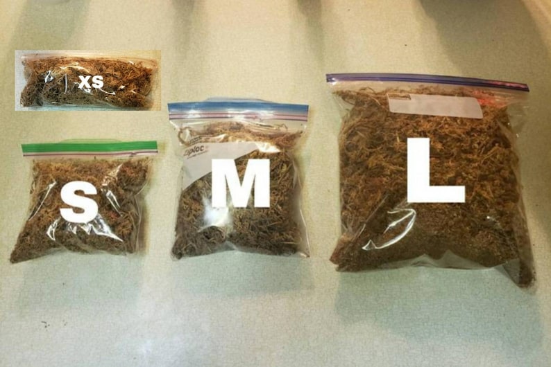 May include: Four clear plastic bags filled with brown dried moss, labeled XS, S, M, and L in large white letters. The bags are sealed with a zip closure, and the moss appears to be a natural product, likely for crafting or decorative purposes.