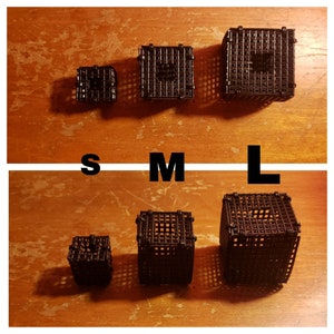 Hermit Crab Curious Crab Cube