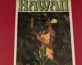 United Airlines Hawaii Original Reiseposter 1967 authentisch vintage