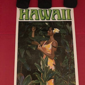 Cartel de viaje original de United Airlines Hawaii 1967 auténtica cosecha