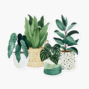 House Plant Sticker Pack » Pip & Cricket