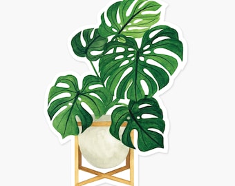 Monstera Plant Clear Vinyl Sticker