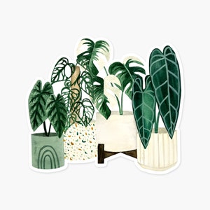 Rare Plants Clear Sticker | Plant Lover Sticker | Die Cut Sticker | House Plant Sticker | Weatherproof Sticker | Laptop Sticker