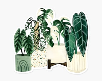 Rare Plants Clear Sticker | Plant Lover Sticker | Die Cut Sticker | House Plant Sticker | Weatherproof Sticker | Laptop Sticker
