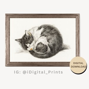 Antique Drawing Wall Art, Living room Wall Decor, PRINTABLE  BW008