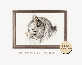 Antique Drawing Wall Art, Living room Wall Decor, PRINTABLE  BW009