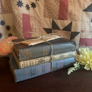 May include: A stack of three vintage books tied with twine. The books are in shades of blue and gray, with gold lettering and decorative bands. A small tag rests on top. A yellow flower and pink flower are in the foreground.
