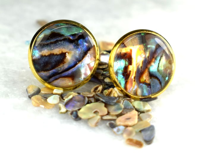 Abalone Round Earrings, Beautiful Authentic Abalone Stud Earrings, Color Changing Earrings, Six Pretty Finishes , OOAK Earrings