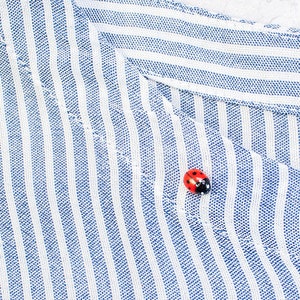 Ladybug pin Realistic miniature ladybird brooch image 1