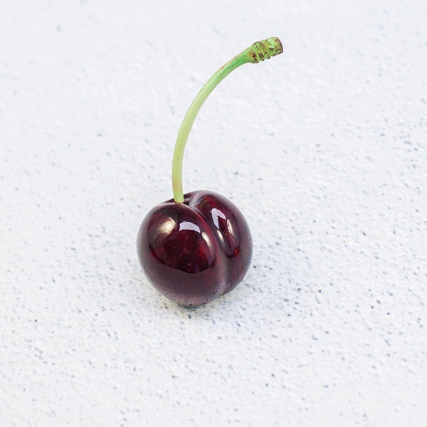Sweet cherry brooch. Fruit pin. Summer Trends