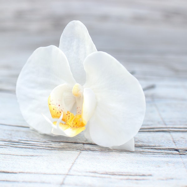Floral de cheveux broche orchidées blanches fleurs tropicales réaliste cheveux de mariée fleur tropicale clip Floral argile bijoux de cheveux
