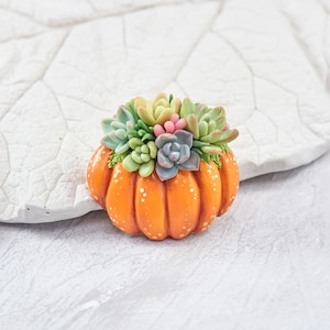 Brooch Succulents in a pumpkin. Succulent  jacket brooch. Thanksgiving gift. Halloween present