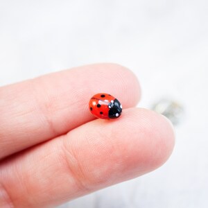 May include: A small ladybug pin featuring a bright red domed back with distinct black spots and a black head section with white markings. The insect-shaped accessory has a smooth, glossy finish and a metallic pin backing visible behind it.