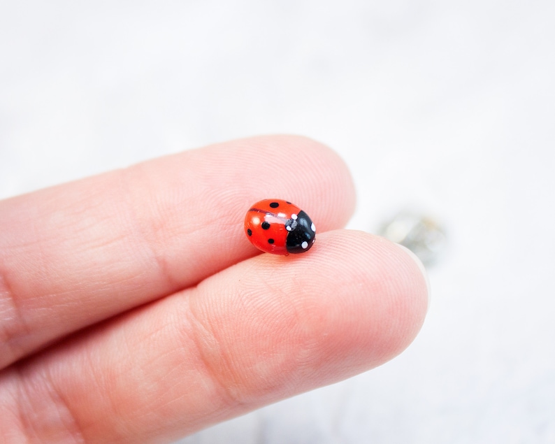 May include: A small ladybug pin featuring a bright red domed back with distinct black spots and a black head section with white markings. The insect-shaped accessory has a smooth, glossy finish and a metallic pin backing visible behind it.