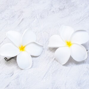 May include: Two white plumeria flower hair clips with yellow centers. The clips are on a white textured background.