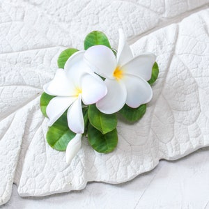 May include: Two white plumeria flowers with pink centers and green leaves on a white textured surface.