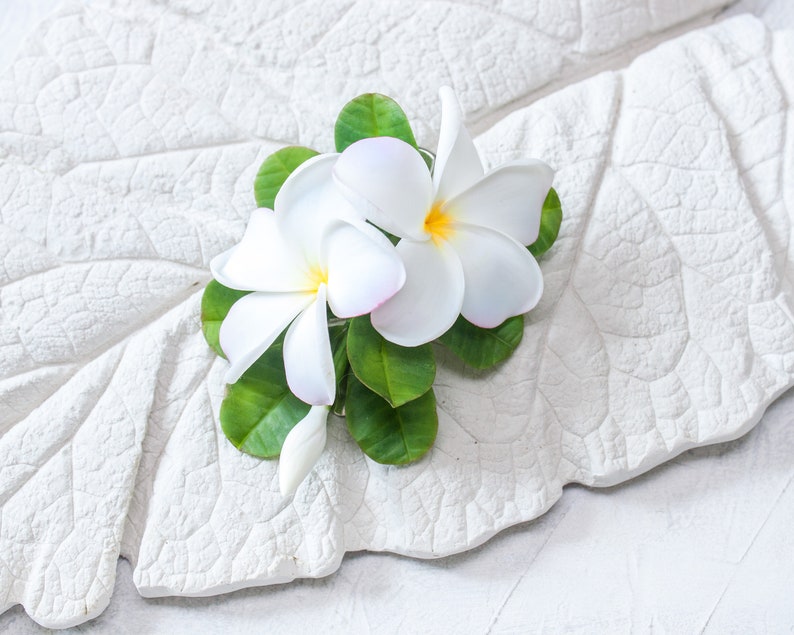 May include: Two white plumeria flowers with pink centers and green leaves on a white textured surface.