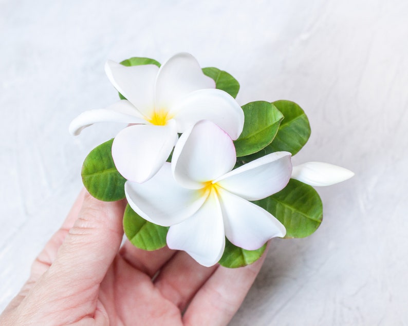 May include: Two white plumeria flowers with yellow centers and green leaves. The flowers are arranged in a bouquet and held in a hand.