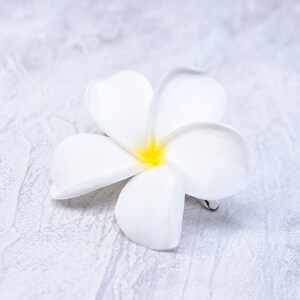 May include: A white plumeria flower with a yellow center, lying on a white textured surface.