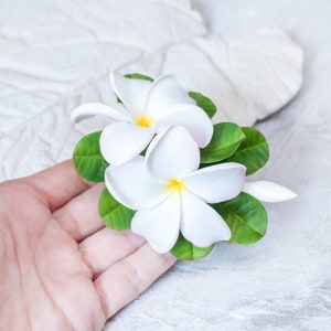 May include: Two white plumeria flowers with yellow centers and green leaves. The flowers are arranged in a cluster and have a delicate, tropical feel.