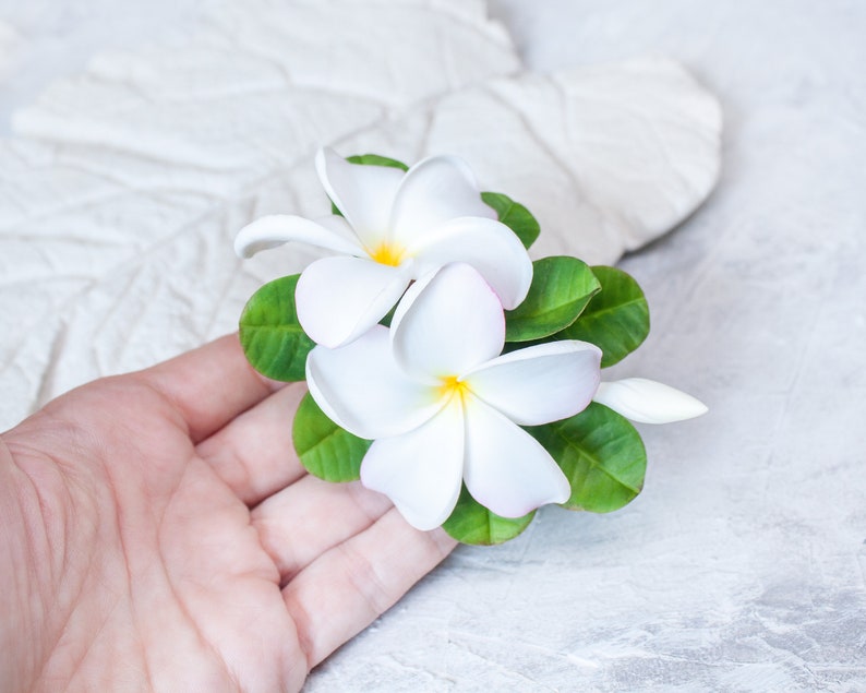 May include: Two white plumeria flowers with yellow centers and green leaves. The flowers are arranged in a cluster and have a delicate, tropical feel.