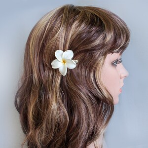 May include: A white flower hair clip with a single white flower. The flower is a plumeria, also known as a frangipani.