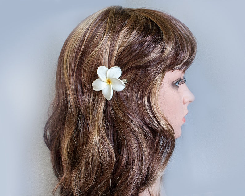 May include: A white flower hair clip with a single white flower. The flower is a plumeria, also known as a frangipani.