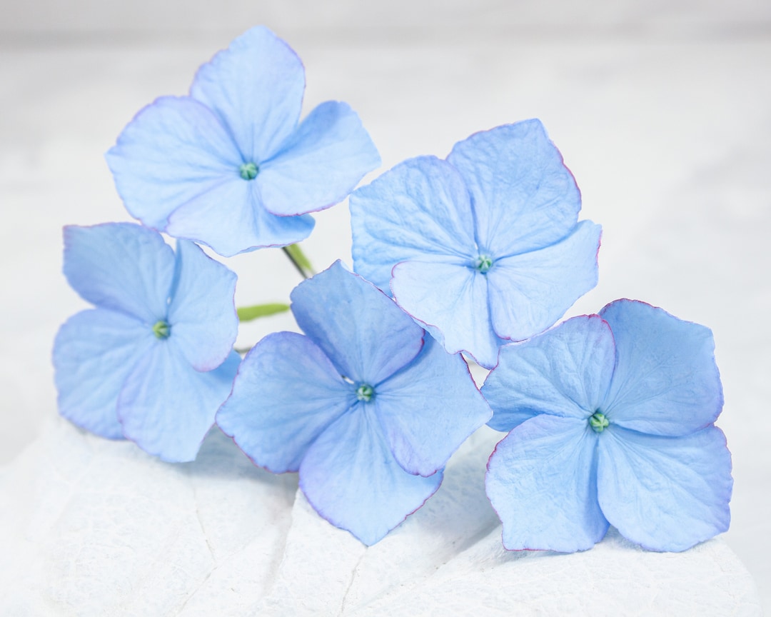 Hydrangea Hair Pins Set of 5 Hair Pins Blue Flower Hair Pin Etsy