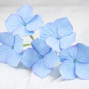 Forcine per capelli Hydrangea Set di 5 forcine per capelli Forcina per capelli a fiore blu