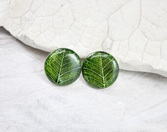 Green leaf stud earrings. Casual small earrings